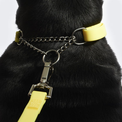 Waterproof Martingale Dog Collar